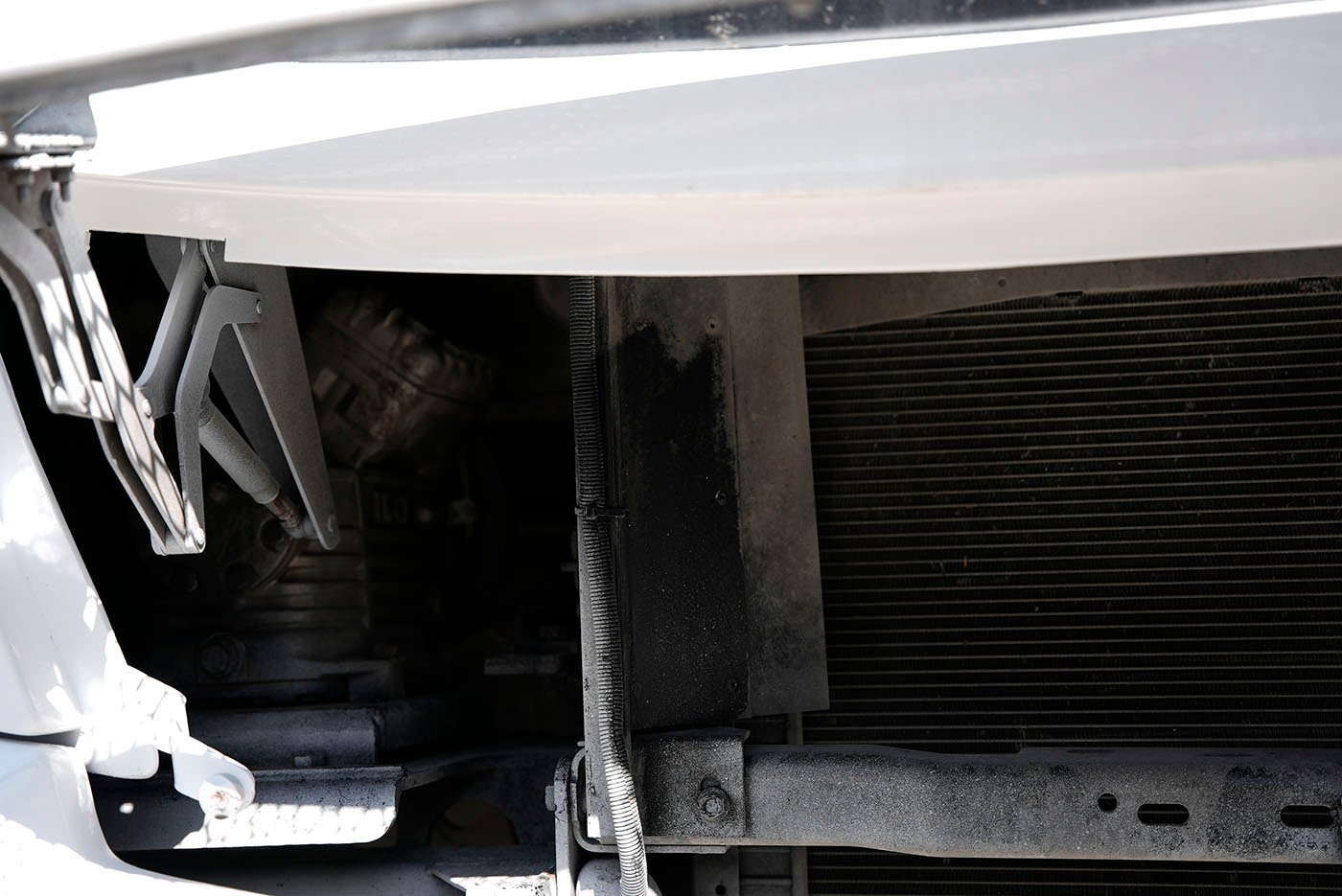 international,4700 FE EURO V CON CLIMA CLIBUS MOD. POLAR BEAR,2021