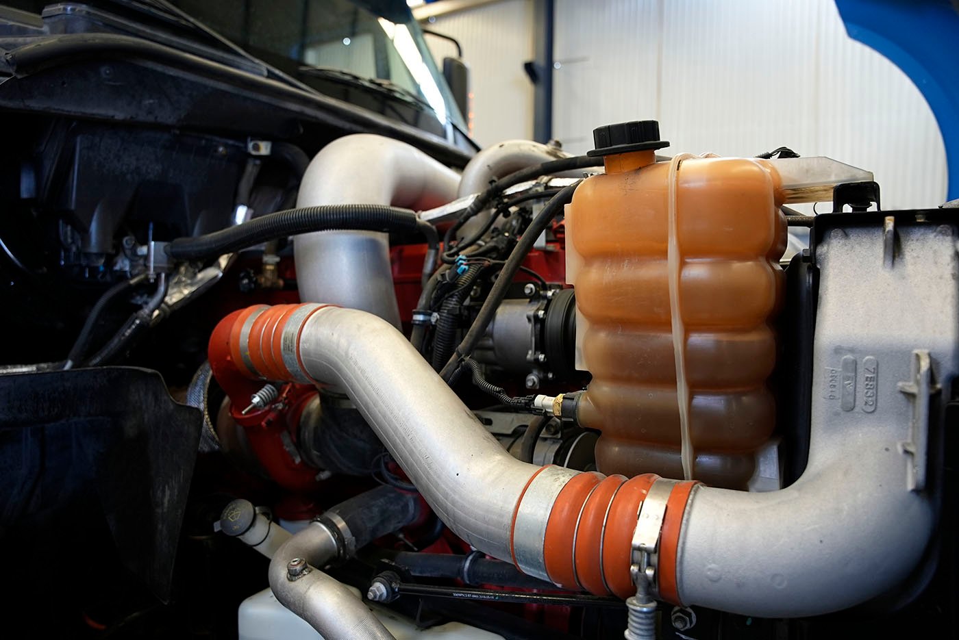 international,PROSTAR SKY RISE,2019