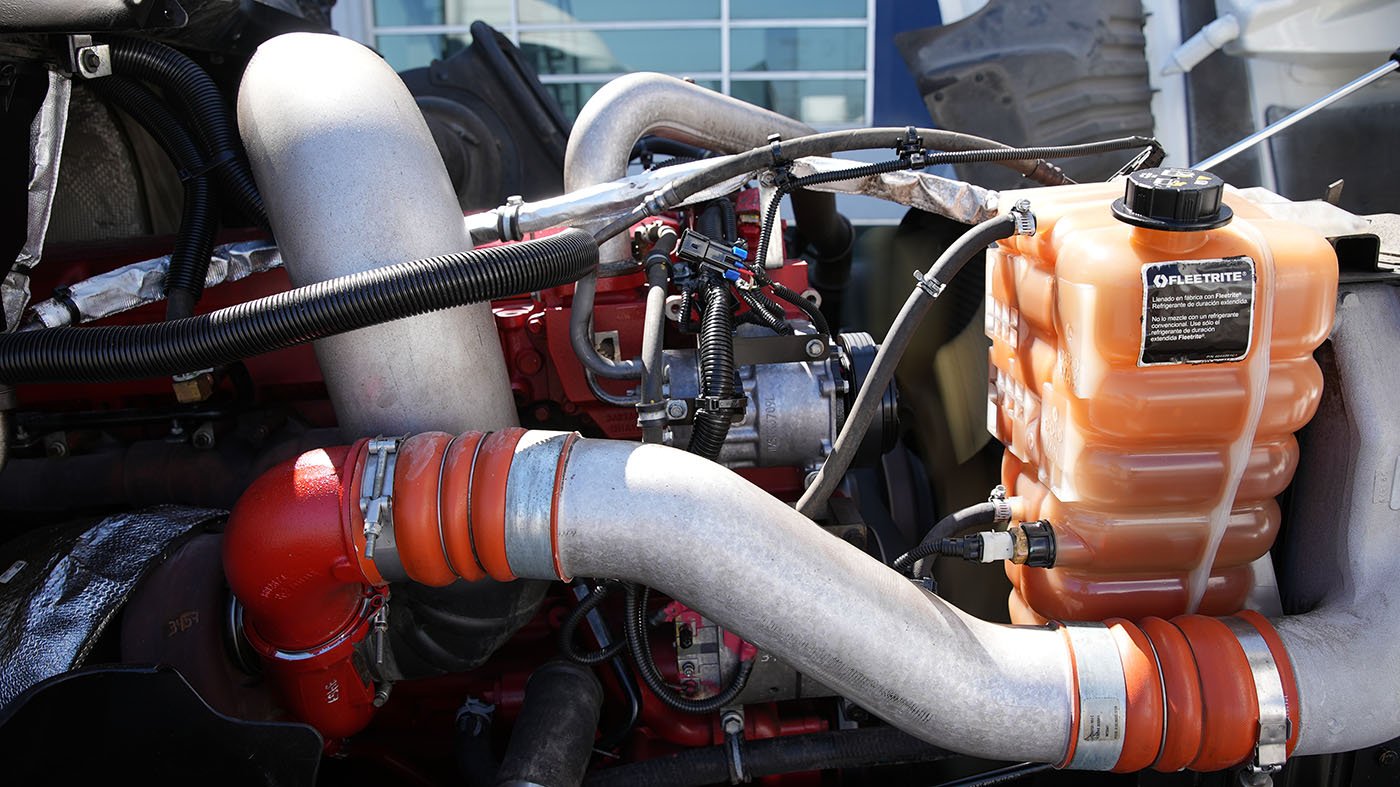 international,PROSTAR EURO,2019