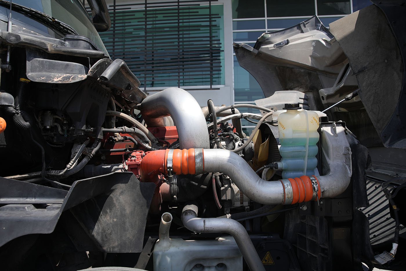 international,PROSTAR + HR,2019